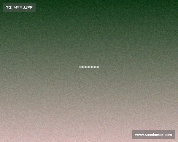 美因茨今日赛事、美因茨球迷